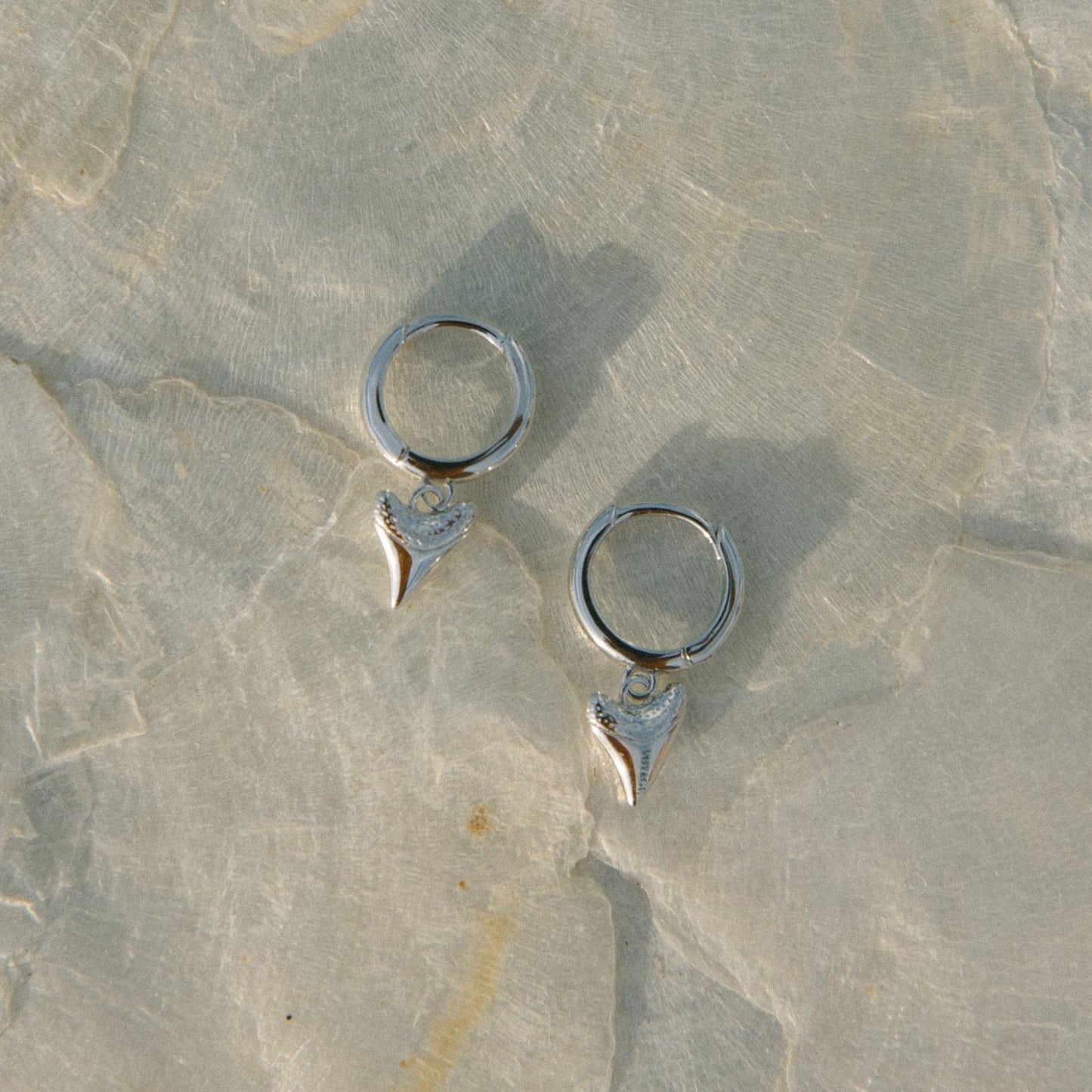 Shark Bait Hoops