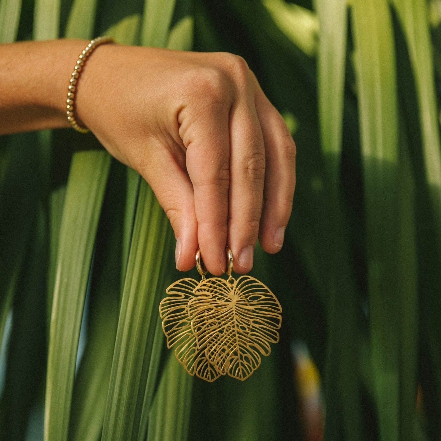 Chela's Palm Hoops