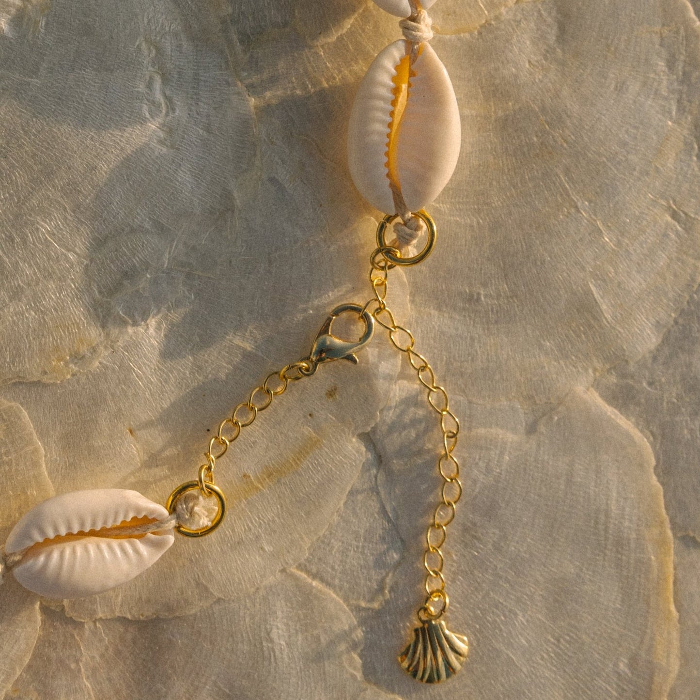 Puka Shell Choker