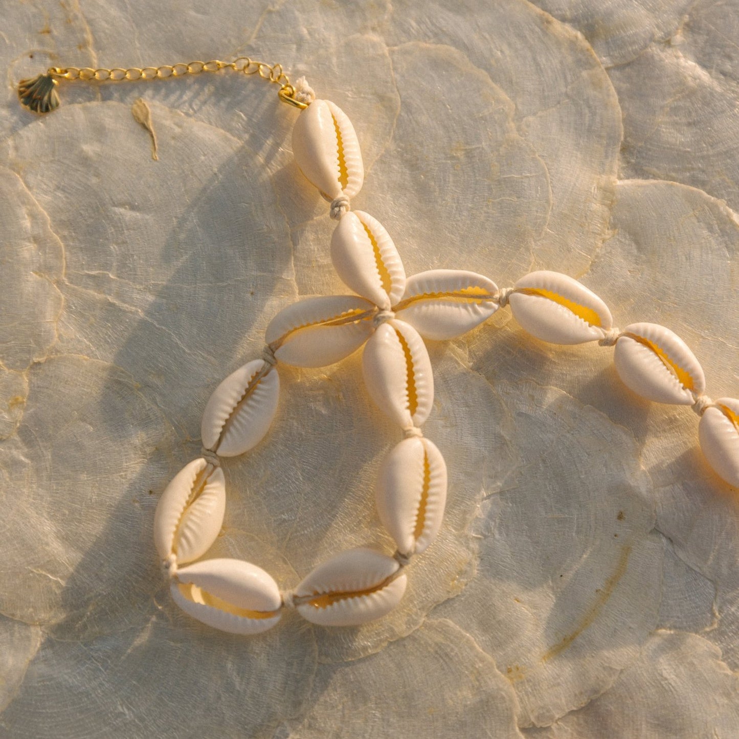 Puka Shell Choker