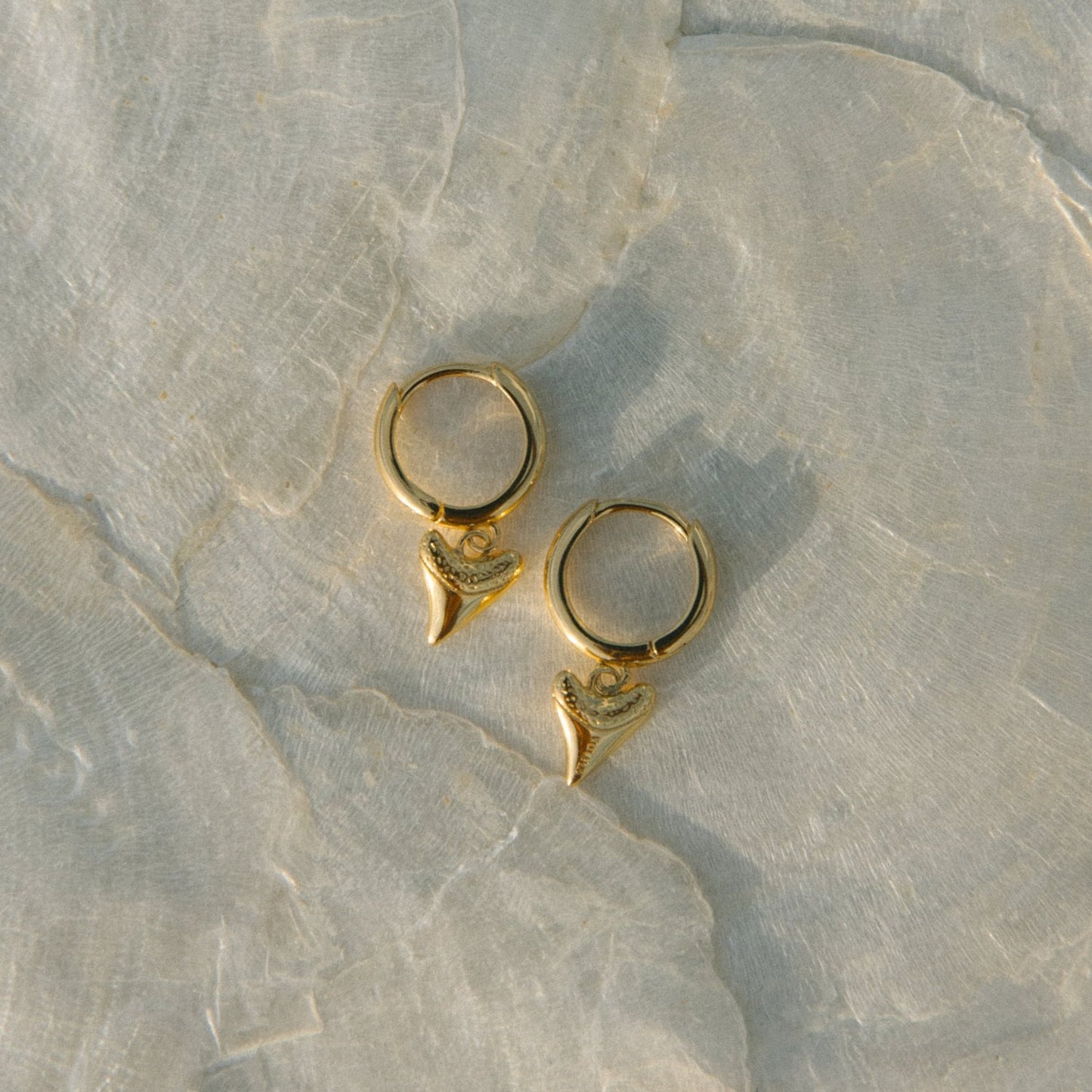 Shark Bait Hoops