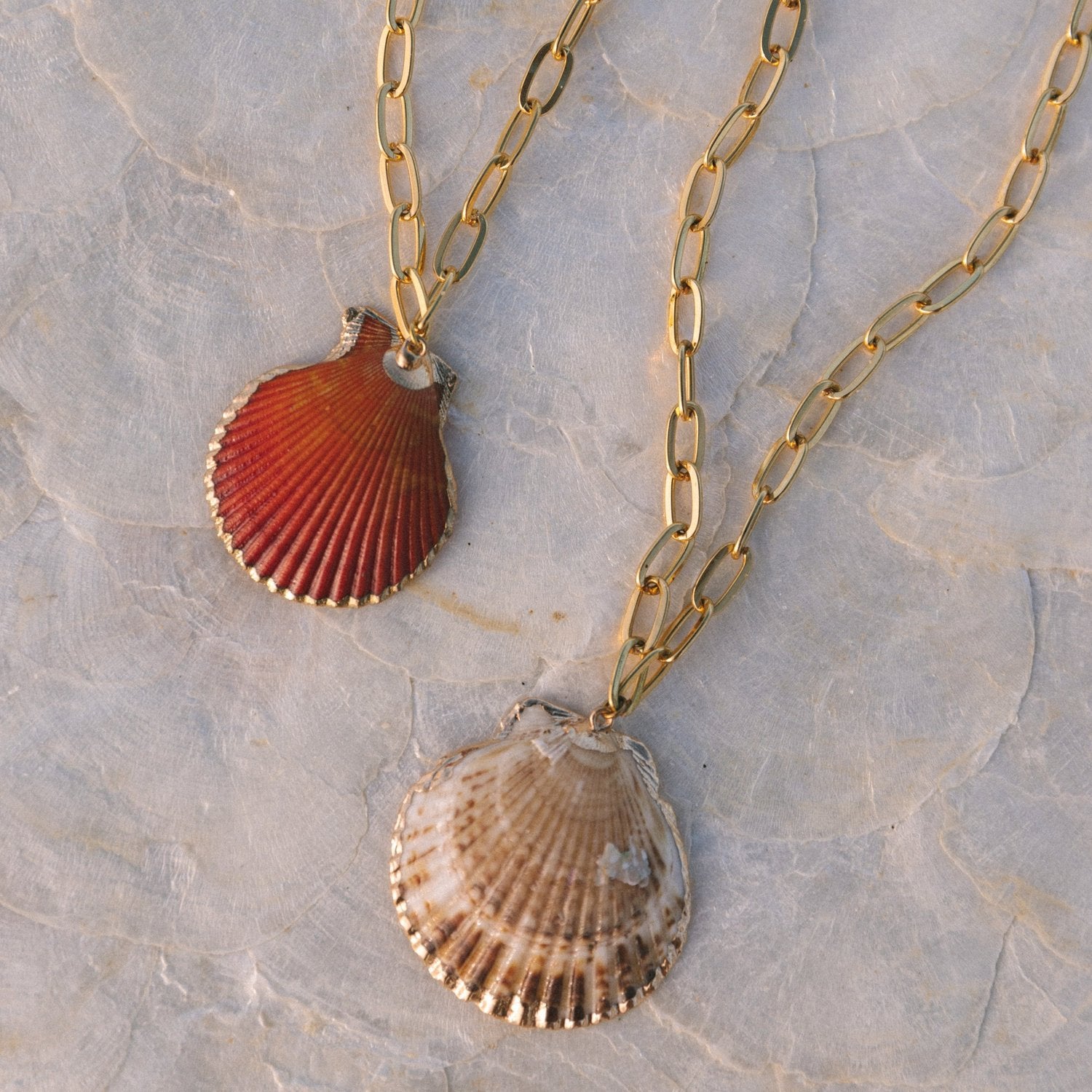 Scallop Shell Chain – Voyage by Paris