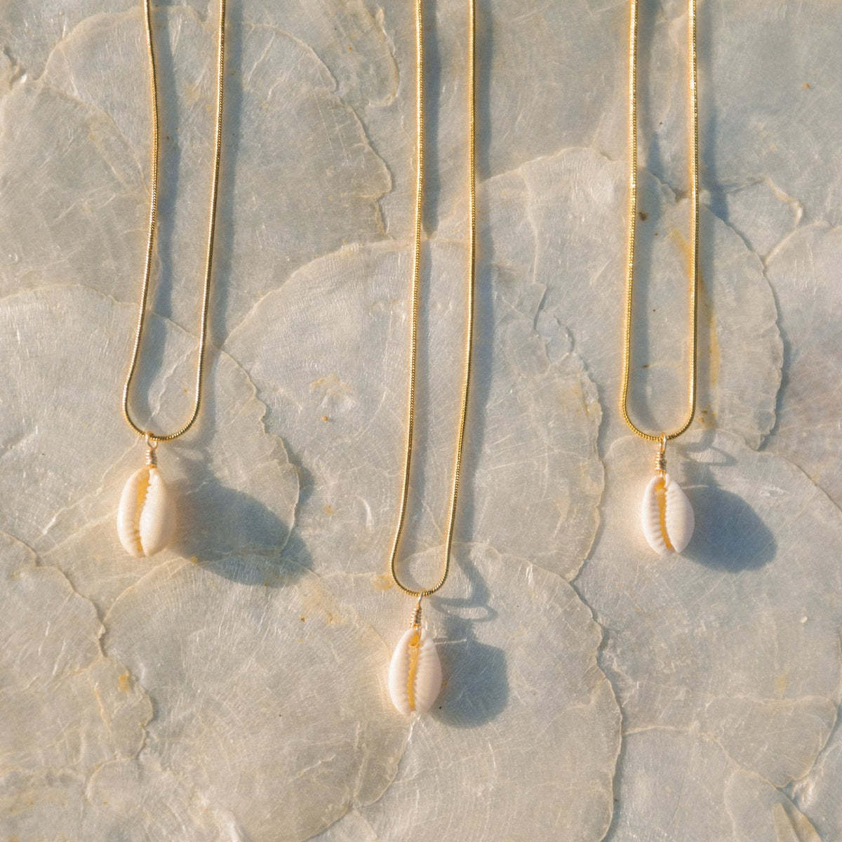 Paris Smir Shell Puka Shell Necklace – Voyage by Paris