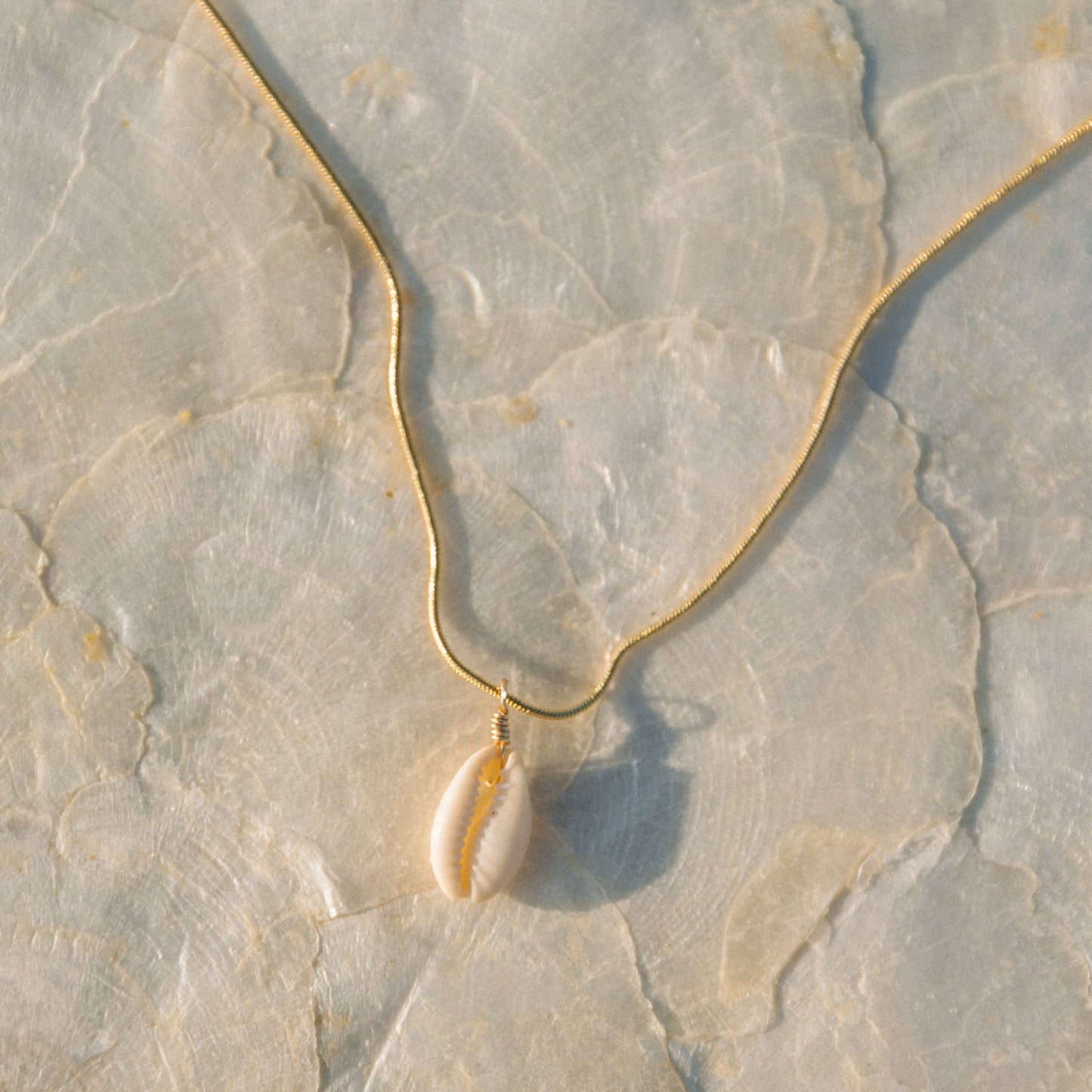 Puka Shell Necklace