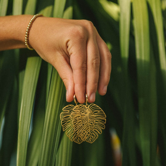 Chela's Palm Hoops